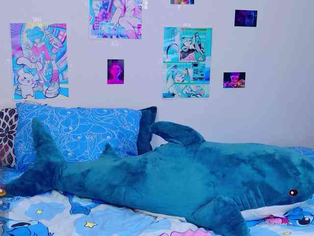 BattyNight webcam