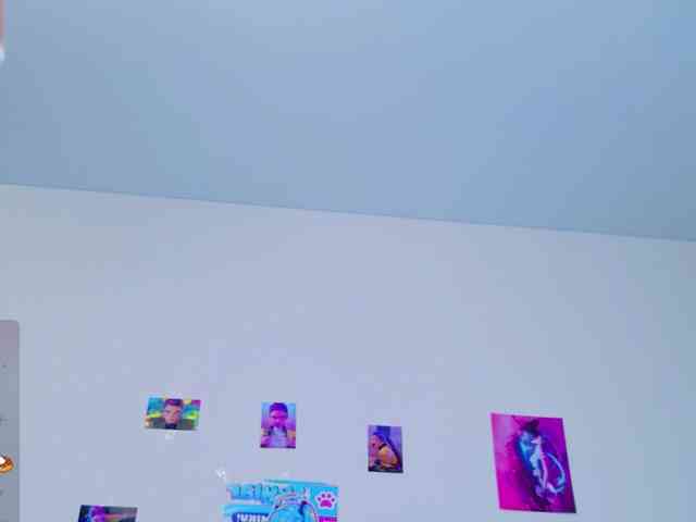 BattyNight webcam
