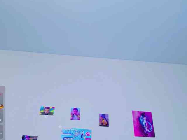 BattyNight webcam