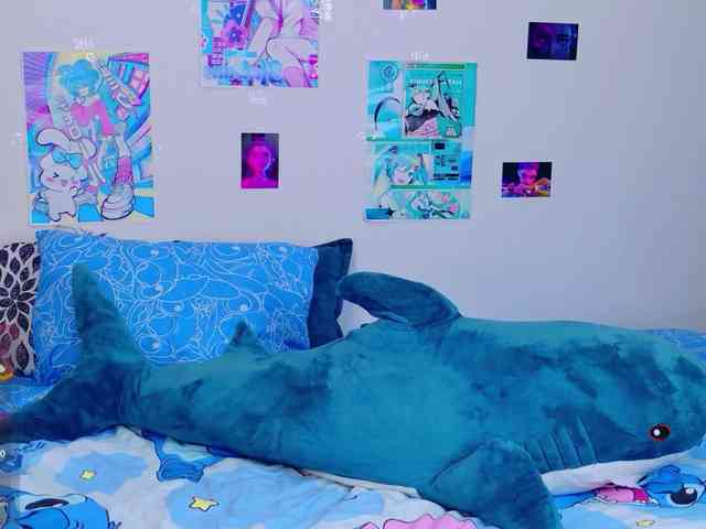 BattyNight webcam