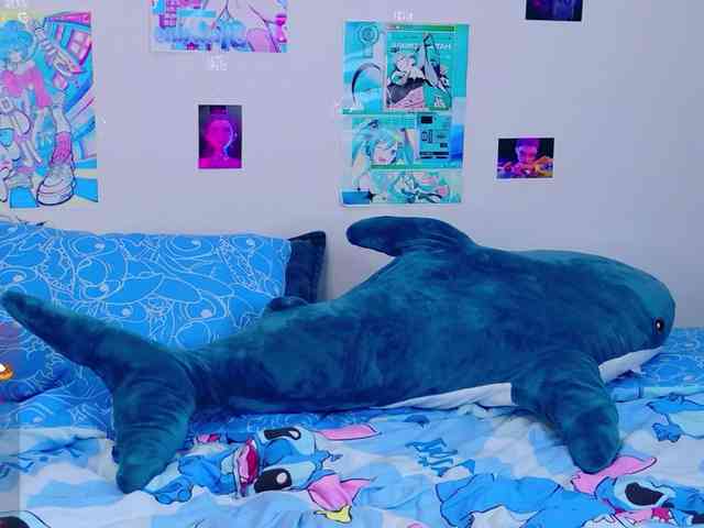BattyNight webcam