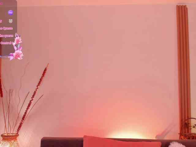 saracavali webcam