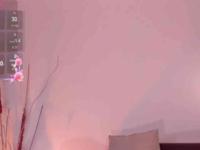 saracavali webcam