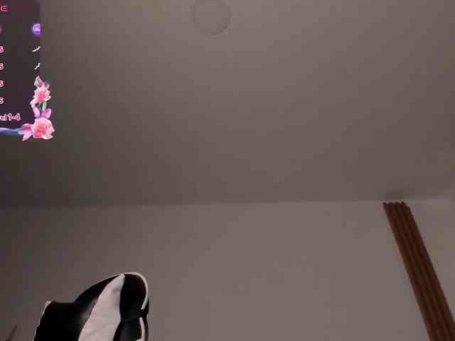 saracavali webcam
