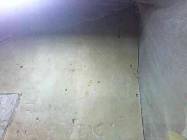 Asminah1 webcam