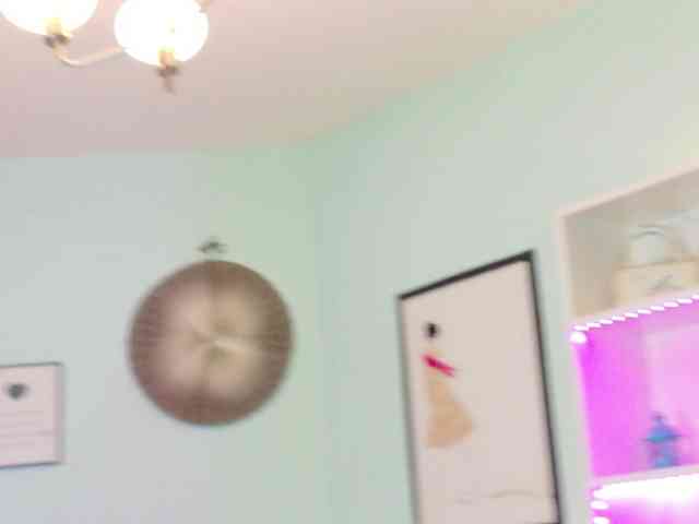 Carol-Anna webcam