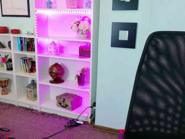 Carol-Anna webcam