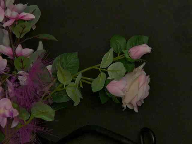 AnneGoddesss webcam