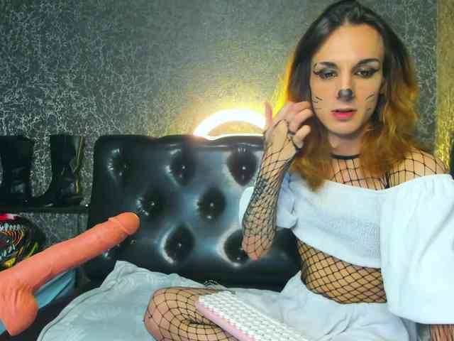 dindindrool Live Webcam on BongaCams