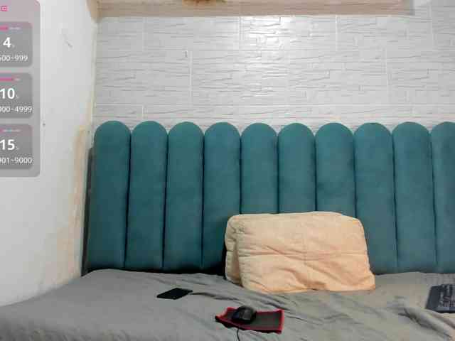 Steicy-15 webcam