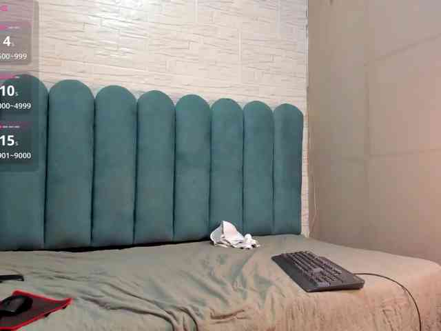 Steicy-15 webcam