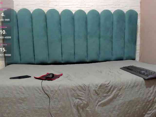 Steicy-15 webcam