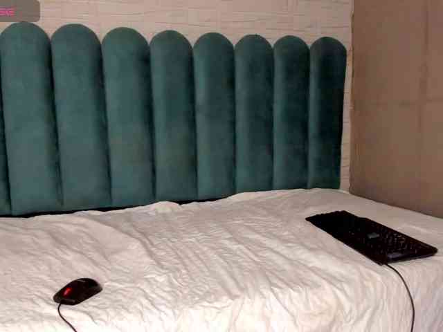 Steicy-15 webcam