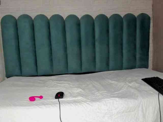 Steicy-15 webcam