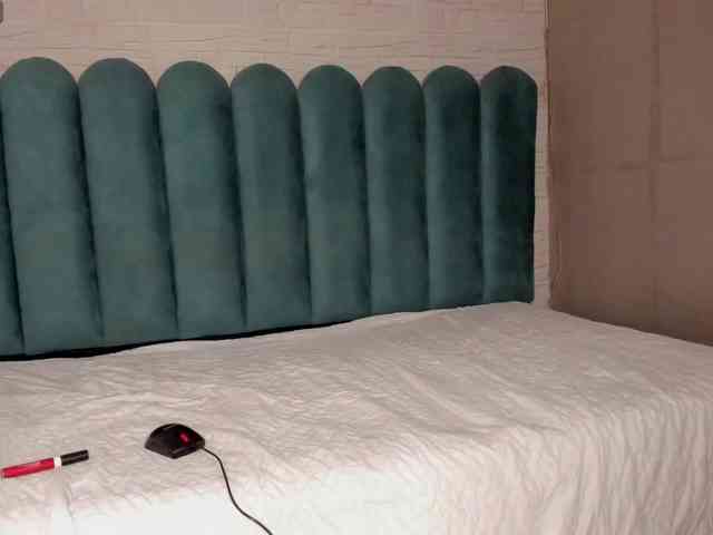 Steicy-15 webcam