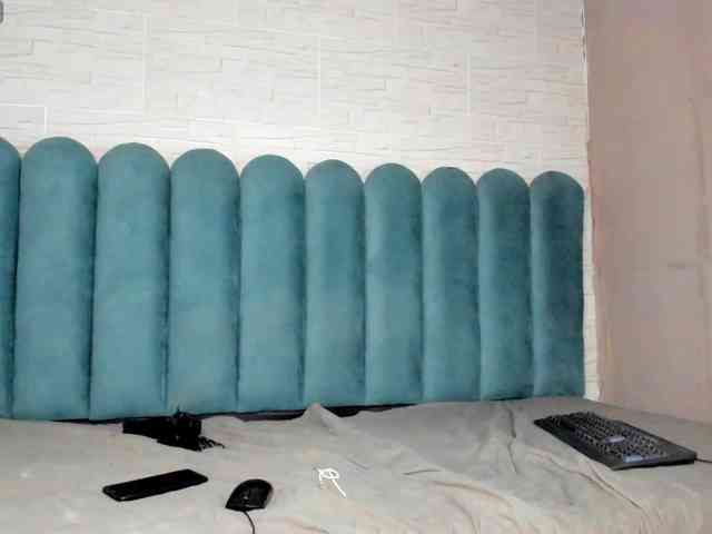 Steicy-15