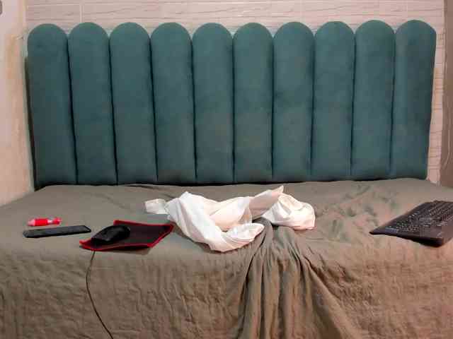 Steicy-15 webcam