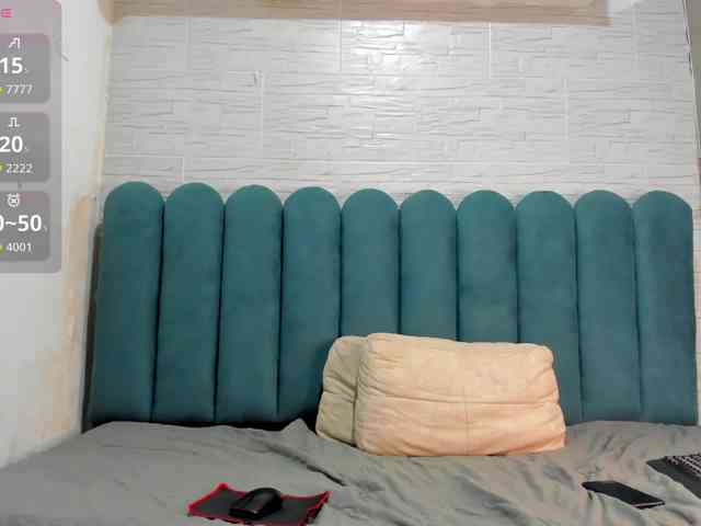 Steicy-15 webcam