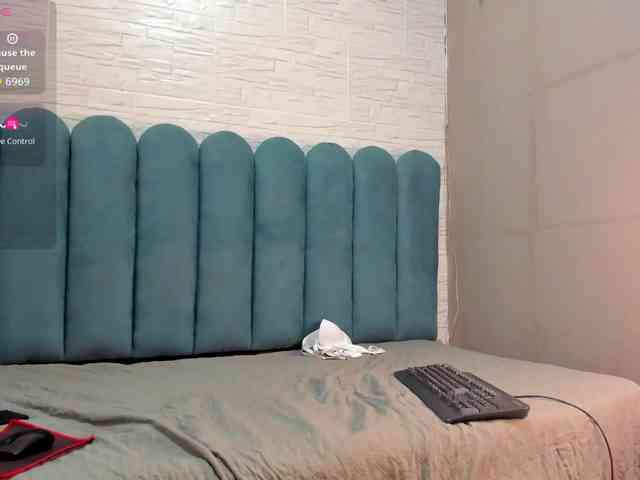 Steicy-15 webcam