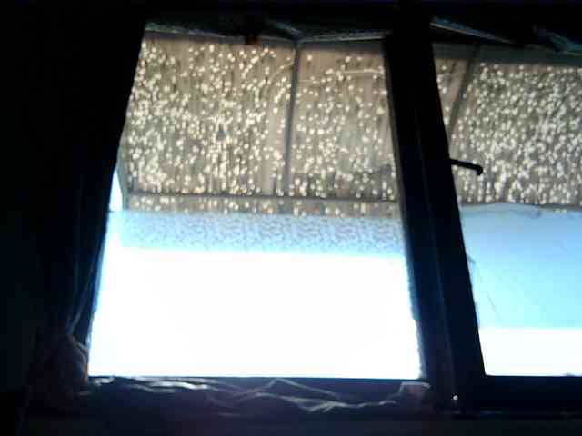 Goodasss webcam