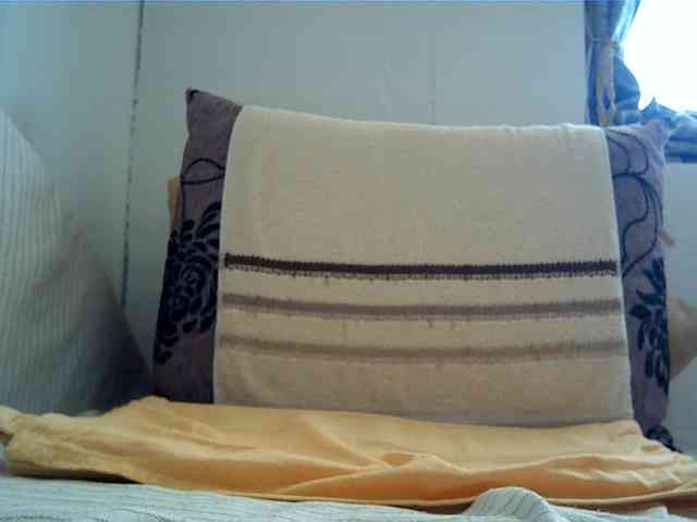 Goodasss webcam