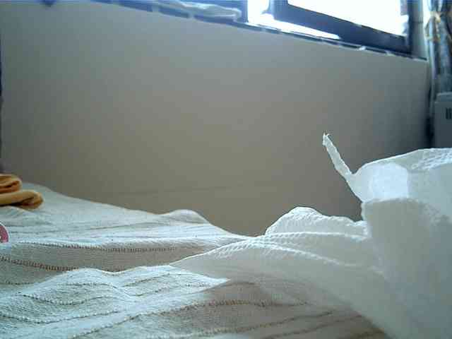 Goodasss webcam