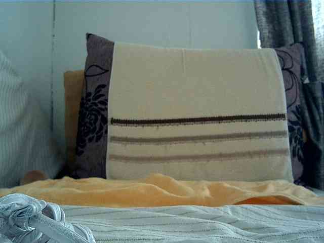 Goodasss webcam