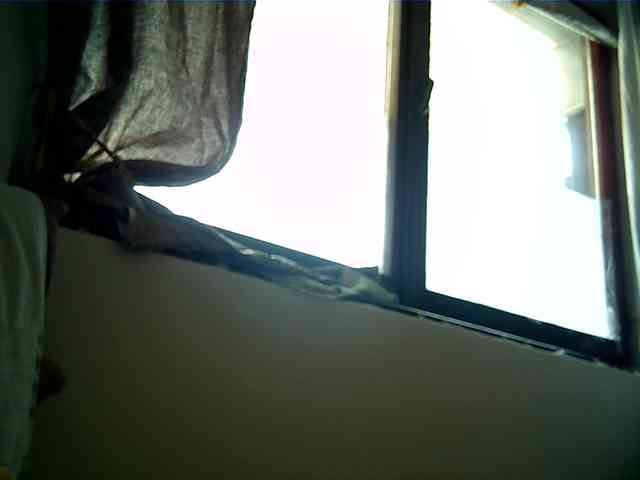 Goodasss webcam