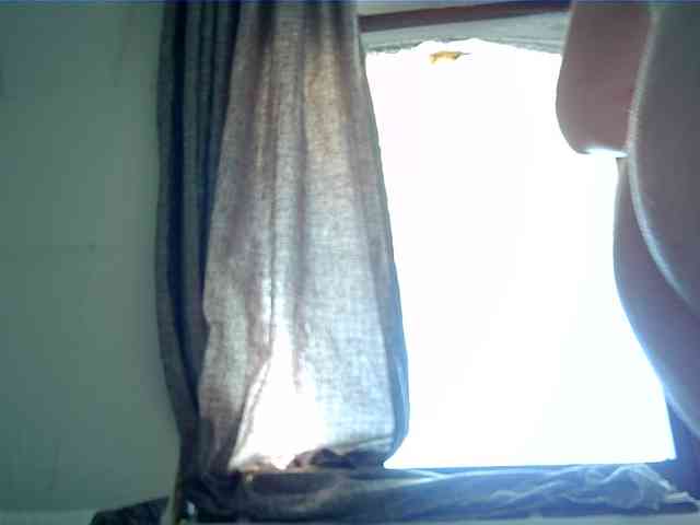 Goodasss webcam