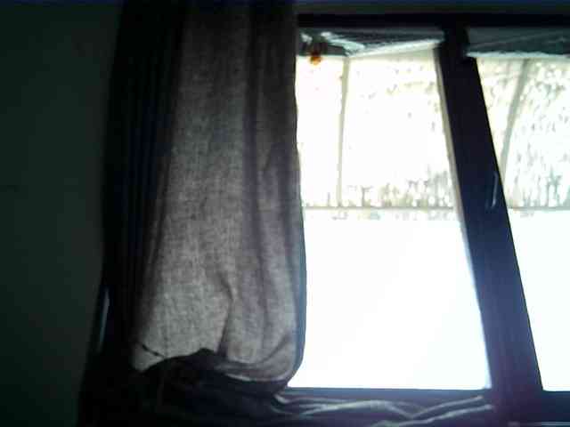 Goodasss webcam