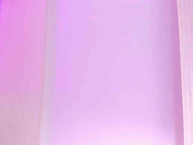 Dahlia-rossee webcam