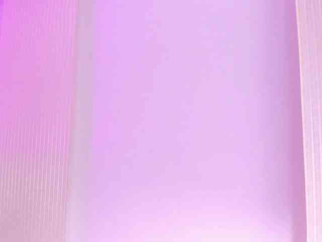 Dahlia-rossee webcam