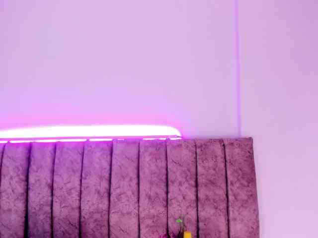 Dahlia-rossee webcam