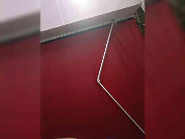 EvaSterling webcam