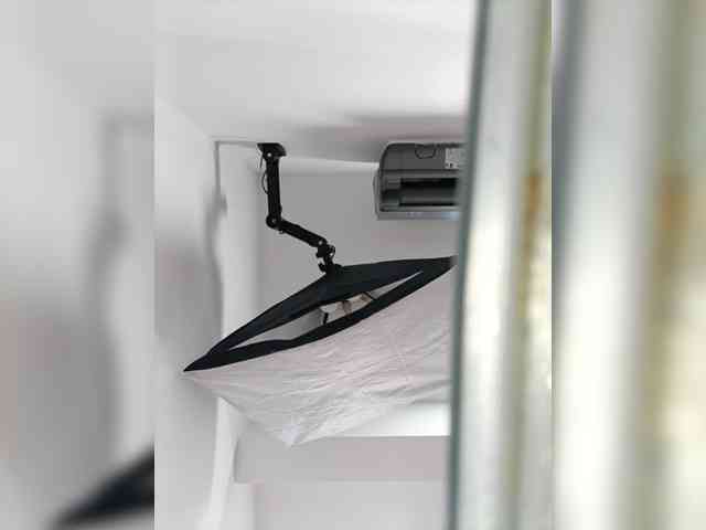 EvaSterling webcam