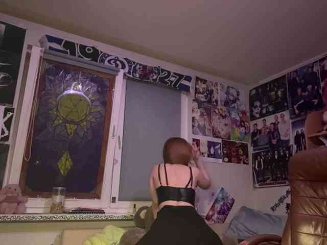 Loopersim webcam