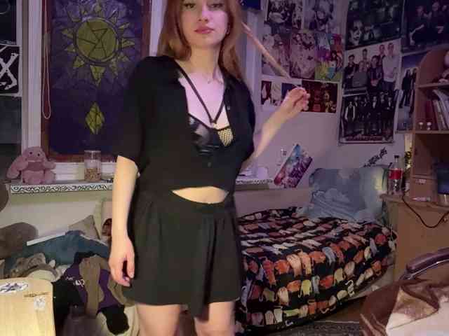 Loopersim webcam