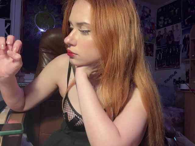 Loopersim webcam