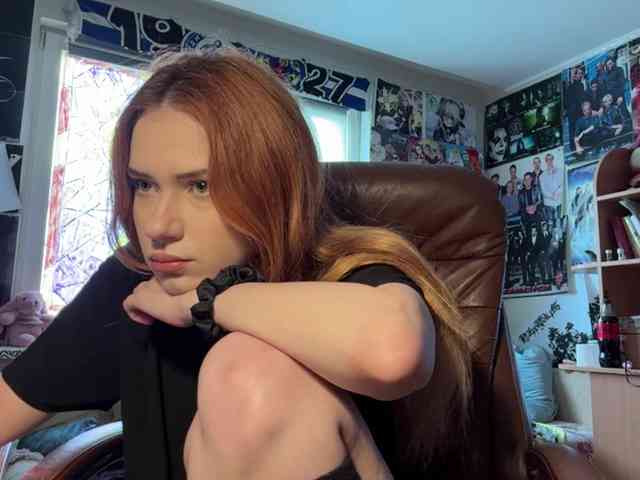 Loopersim webcam