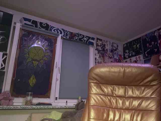 Loopersim webcam
