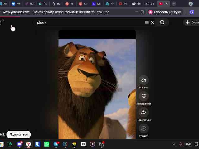 Loopersim webcam