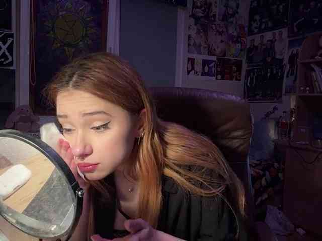 Loopersim webcam