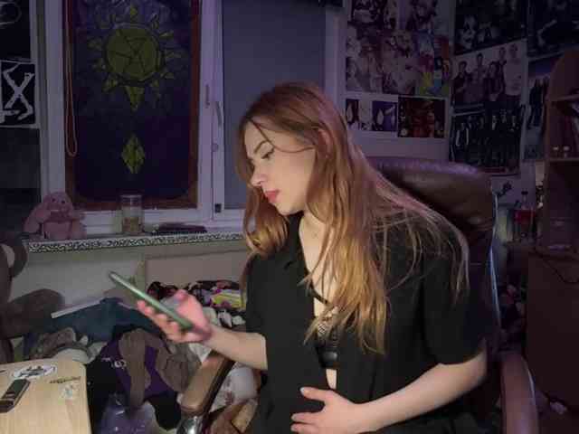 Loopersim webcam