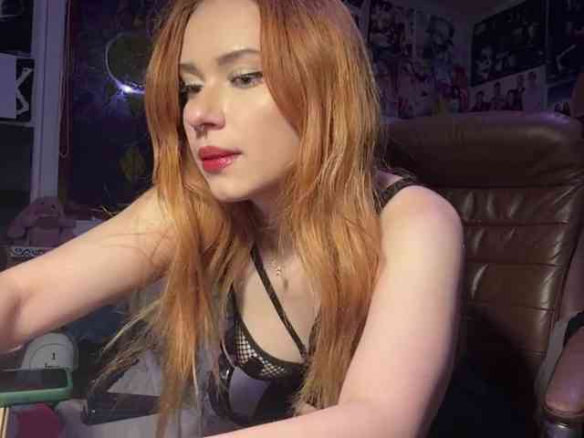 Loopersim webcam