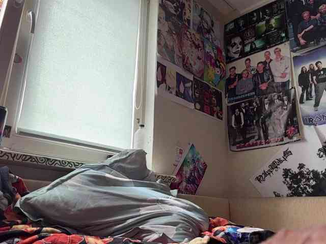 Loopersim webcam