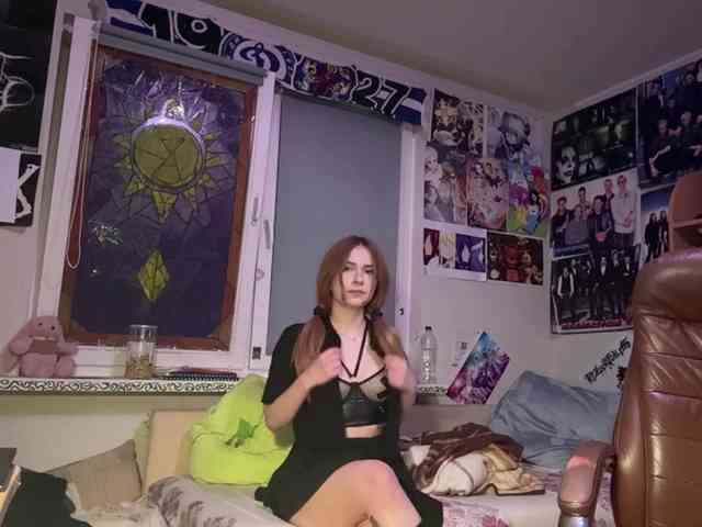 Loopersim webcam