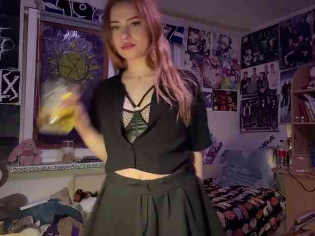 Loopersim webcam