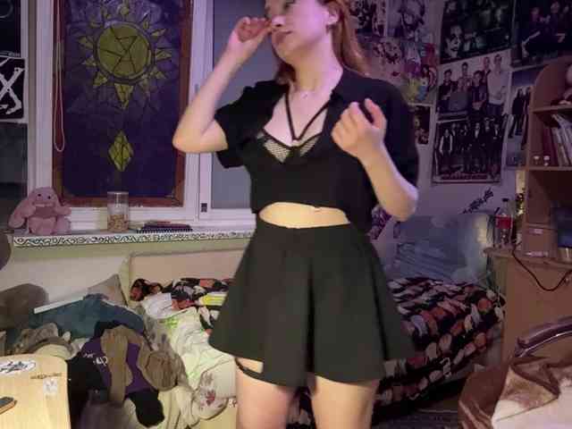 Loopersim webcam