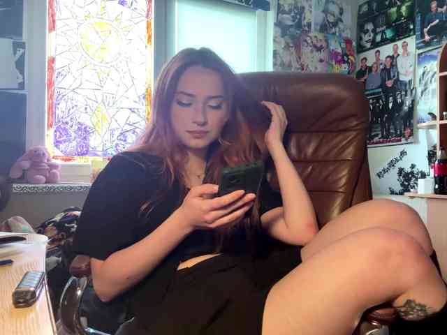 Loopersim webcam