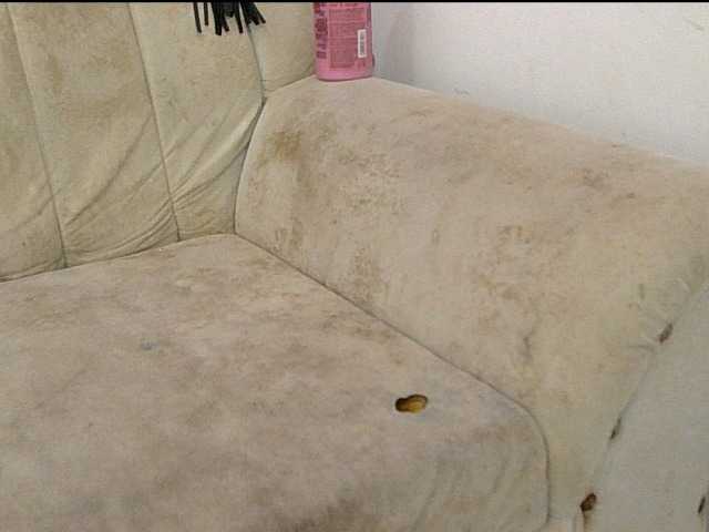 minabigboobs live cam on BongaCams